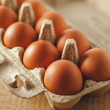 Eier, 10er Packung - Eiland