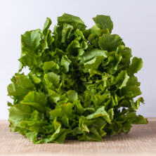 Salat: Endivie