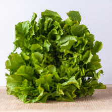 Salat: Endivie - Zuckerhut