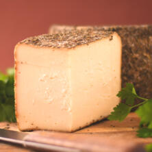 Nordstern Rosmarin - Bauckhof