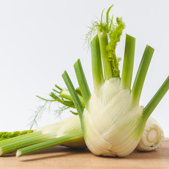 Fenchel