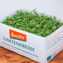 Kresse im Sch&auml;lchen