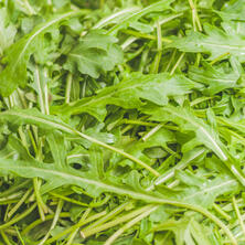 Rucola, lose - Preis pro Kg