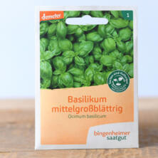 Basilikum (Bingenheimer)