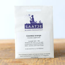 Cosmea, orange (Saatje)