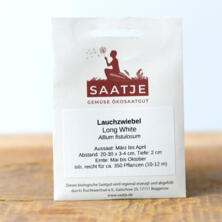 Lauchzwiebel (Saatje)