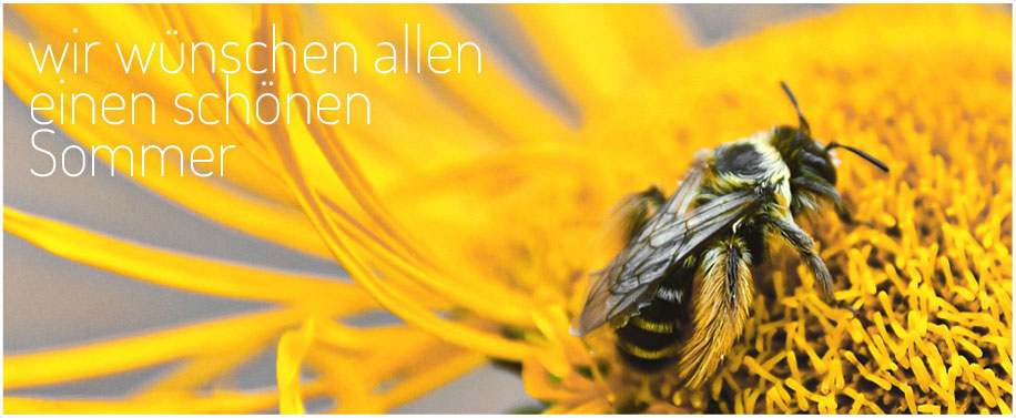 Sommer26