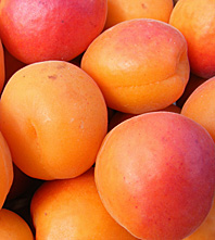 Aprikosen, orange aus Spanien