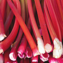 Rhabarber - regional