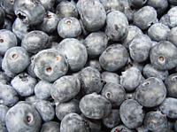 Heidelbeeren, lose