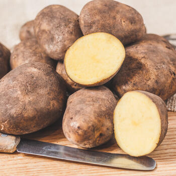 Kartoffel "Linda" 1kg-T&uuml;te