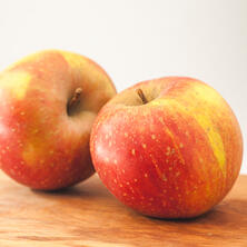 Apfel "Jonagored" - Rubin Star